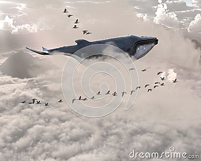 Surreal Flying Whale, Birds, Sky Cartoon Illustration