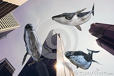 Surreal Flying Whales, City Buildings Stock Photo