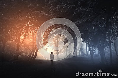 Surreal forest road with mysterious light and fog Stock Photo