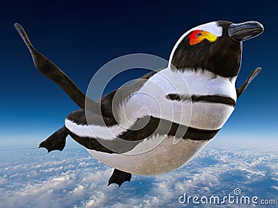 Surreal Funny Flying Penguin, Bird Stock Photo