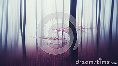 Surreal haunted forest in autumn Stock Photo