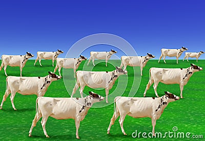 Surreal herd of white cows Stock Photo