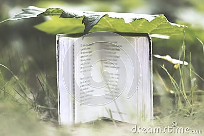 Surreal moment of a small book that protects itself under a large leaf from the rain Stock Photo