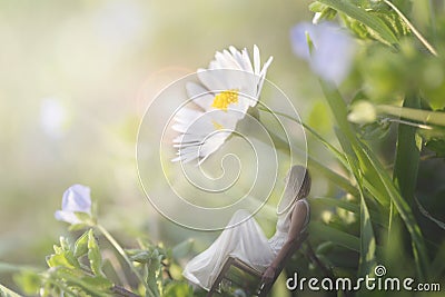 Moment of a woman sitting in the shade of a gigantic daisy in a green meadow Stock Photo