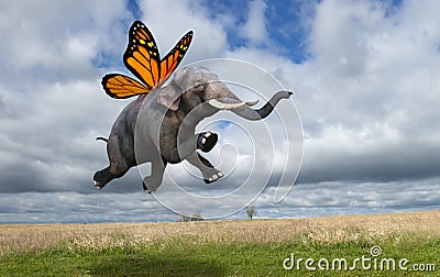 Surreal Monarch Butterfly Wings Elephant Stock Photo