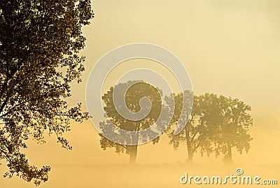 Surreal Morning Stock Photo