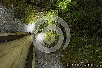 A surreal path with pebbles and forest both sides, middle of the day, unusual special effect Stock Photo