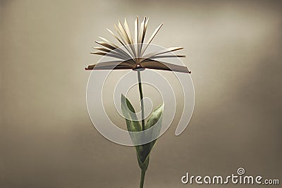 Surreal plant with an open book that replaces the flower; fantasy concept Stock Photo