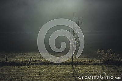 Surreal, romantic autumn landscape at the misty, foggy countryside, halloween concept with spiderwebs Stock Photo