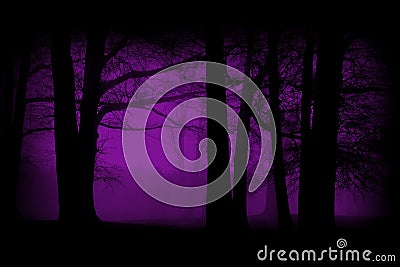 Purple, Violet Woods, Forest Background Stock Photo