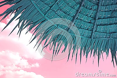 Teal Colored Thatched Beach Parasol on Pink Sky Background Stock Photo