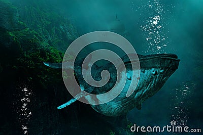 Surreal Undersea Humpback Whale, Nature Stock Photo