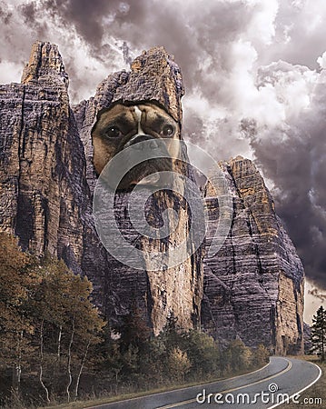 Surreal visionary image, french bouledogue face set in stone, rocky mountain, asphalt road Stock Photo