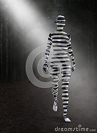 Surreal Woman, Woods, Forest, Zebra Stock Photo