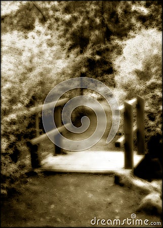 Surreal Woodland Path Stock Photo