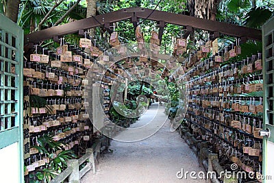 Surrounded by Ema Japanese wooden prayers in Aoshima Shrine of Miyazaki Editorial Stock Photo