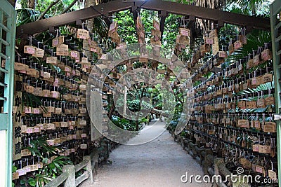 Surrounded by Ema Japanese wooden prayers in Aoshima Shrine of Miyazaki Editorial Stock Photo