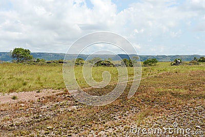 Surrounding the river Guayabero. Stock Photo