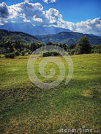 Surroundings of Cabana Trei Brazi in Predeal Stock Photo