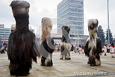 Surva Huge Mummers Costumes Hairy Editorial Stock Photo
