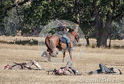 Surveying the Battle Editorial Stock Photo