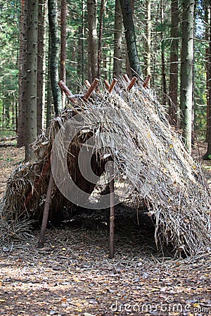 Survival Shelter Stock Photo