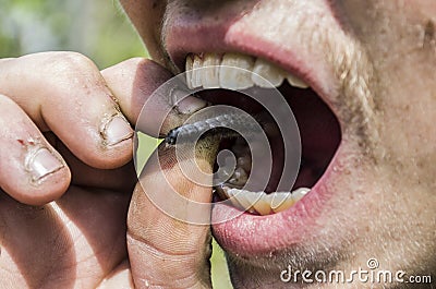 Survival in the wild Stock Photo