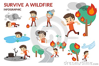 Survive a Wildfire. Forest fire. Danger of wildfire. Stock Photo