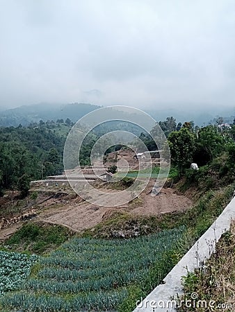 Susana is cool at the foot of Mount Merapi Stock Photo