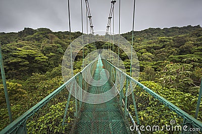 Suspended bridge in Costa Rica Stock Photo