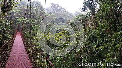 Suspended Bridge at Monteverde Stock Photo