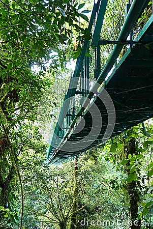 Suspended bridge, Monteverde, Costa Rica Stock Photo