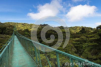 Suspended bridge over the canopy of the trees in Monteverde, Costa Rica Stock Photo