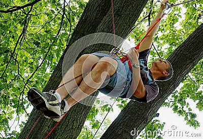 Suspended from ropes in a Tree Stock Photo