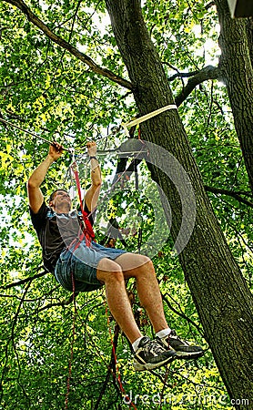 Suspended from ropes in a Tree Stock Photo