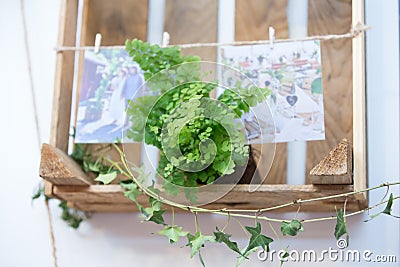 Suspended wood pallet and crates decorated with rope and wedding photos Stock Photo