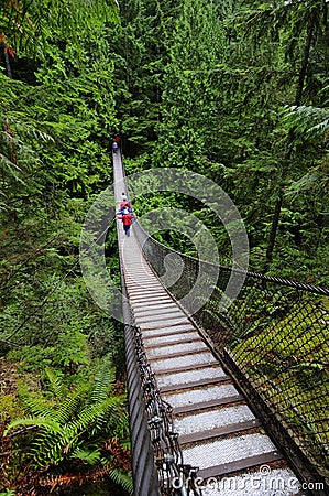 Suspension bridge crossing a canyon Stock Photo