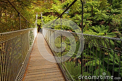 Suspension bridge in forest Stock Photo