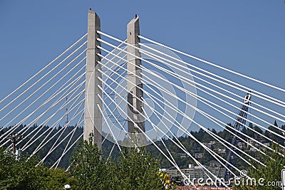 Tillicum Crossing Public Transit Bridge Image 2, Portland, Oregon Editorial Stock Photo