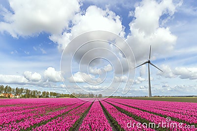 Sustainable world energy Stock Photo