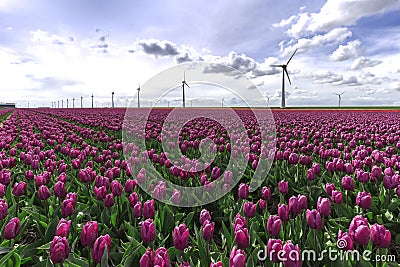 Sustainable energy world Stock Photo