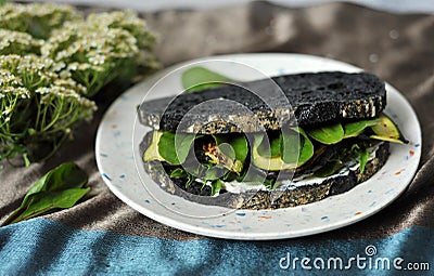 Sustainable green diet conceptual image with black charcoal bread and veggie sandwich Stock Photo