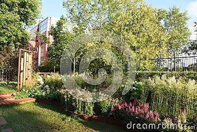 Wildlife style perrenial garden plants Stock Photo