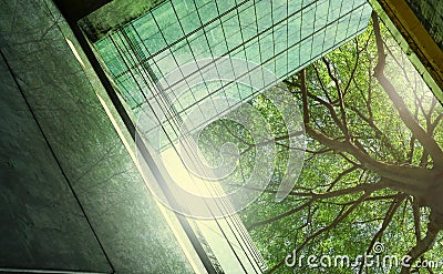 Sustainble green building. Eco-friendly building in modern city. Sustainable glass office building with tree for reducing carbon Stock Photo