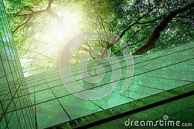 Sustainble green building. Eco-friendly building. Sustainable glass office building with tree for reducing carbon dioxide. Office Stock Photo