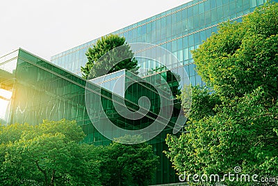 Sustainble green building. Eco-friendly building. Sustainable glass office building with tree for reducing carbon dioxide. Office Stock Photo