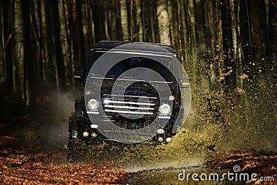 SUV or offroad car on path covered with leaves crossing puddle with water splash Car racing in autumn forest. Offroad Stock Photo