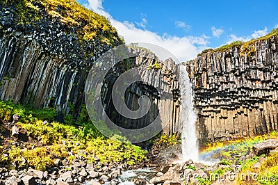 Svartifoss waterfall in Iceland Stock Photo