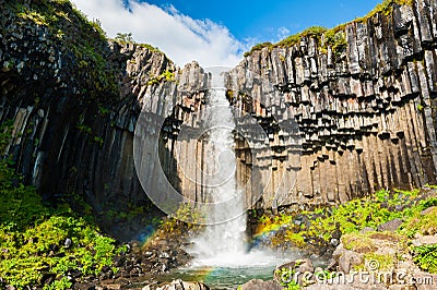 Svartifoss waterfall in Iceland Stock Photo