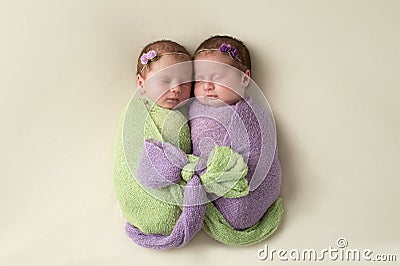 Swaddled Fraternal Twin Newborn Girls Stock Photo